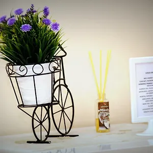 https://duplex-jane.hotelsfuerteventura.org